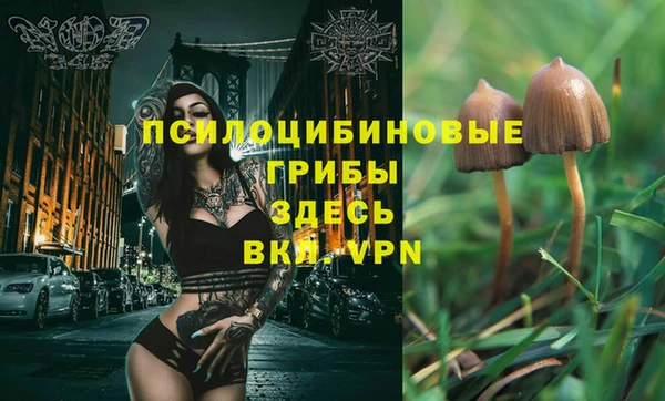 дмт Балахна