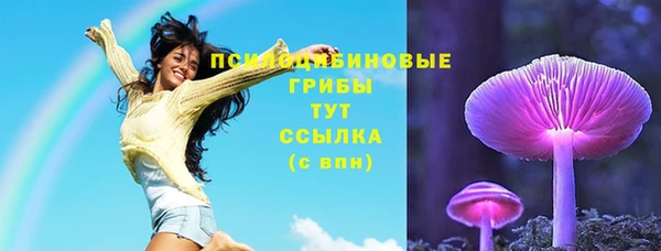 дмт Балахна