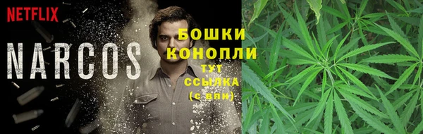 дурь Белокуриха