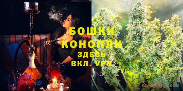 дживик Баксан