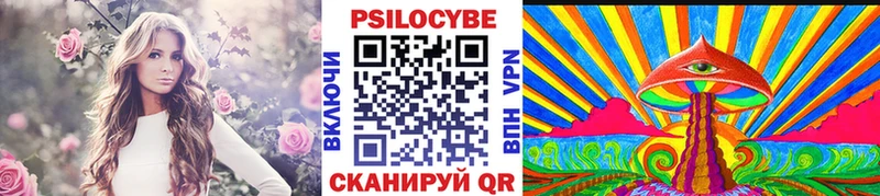 Галлюциногенные грибы Cubensis  Спас-Деменск 